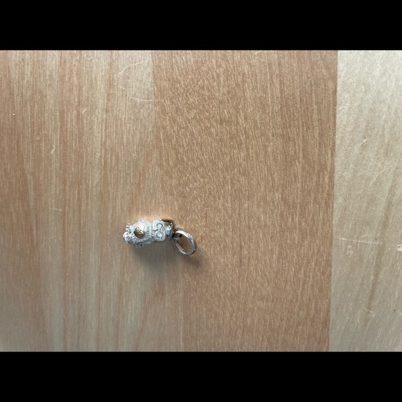 Links of London Graduation Owl charm (2013) 🦉 - Picture 2 of 3